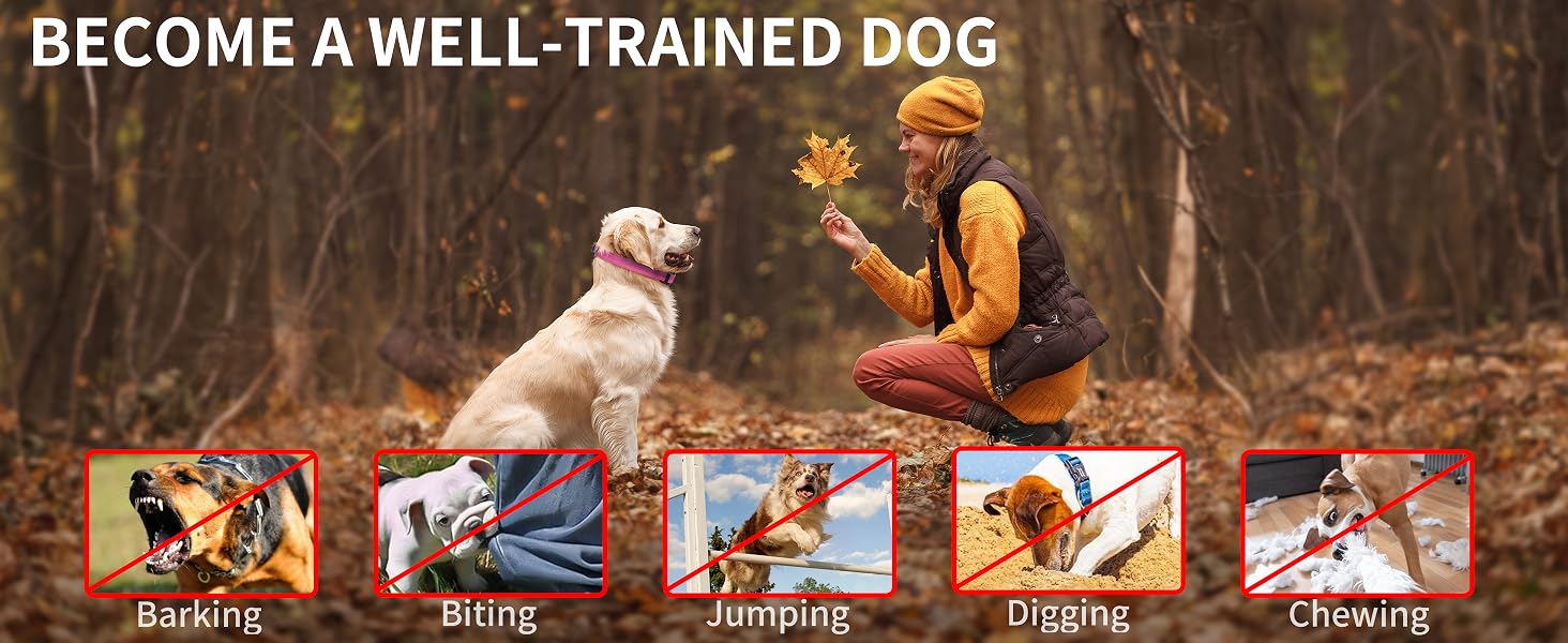 no shock dog collar no shock dog training collar vibrating collar no shock dog collar with remote