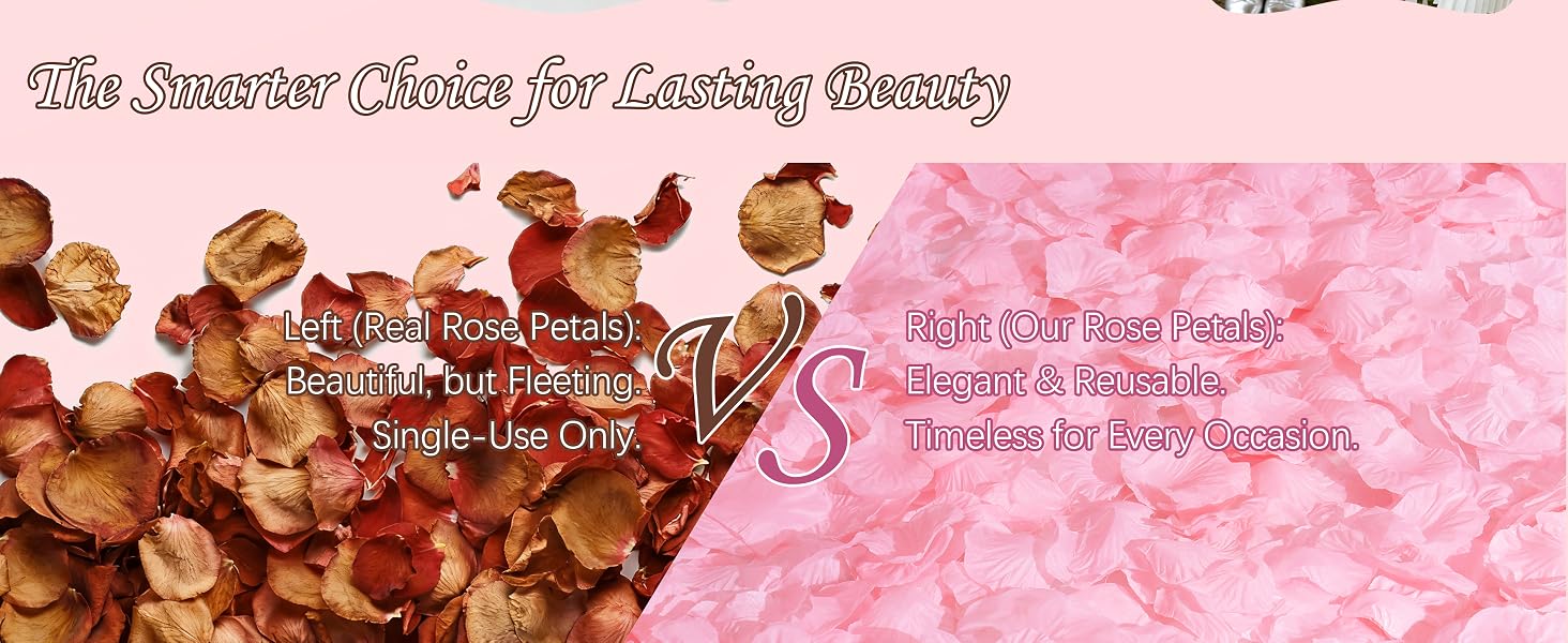 pink rose petals