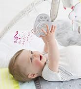 Portable white noise machine