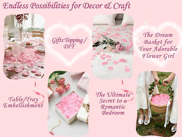 pink rose petals
