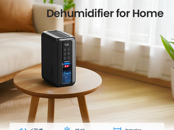bathroom dehumidifier