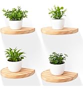 MITREL Small Wood Floating Shelves (4-Pack, 6-inch Diameter) - Round Sturdy Invisible Wall Mount ...