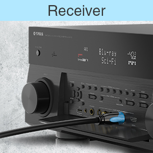 BlueRigger 6ft toslink cable 10ft 3ft toslink cable 15ft 3ft optical audio cable 6ft 8ft Zipphy