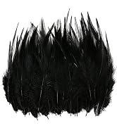 iHUFeather 120pcs 5-7" Saddle Hackle Rooster Feather Bulk for Crafts DIY Pendant Earrings Dream C...