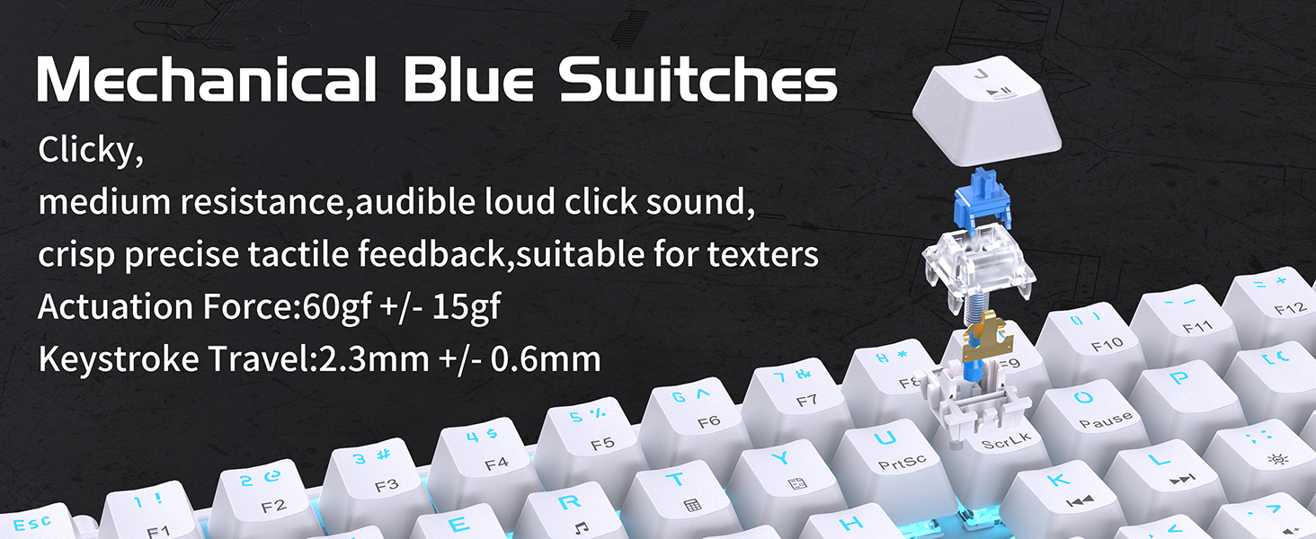 Mechanical Clicky Blue Switches