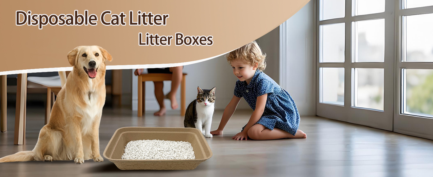 cat litter box