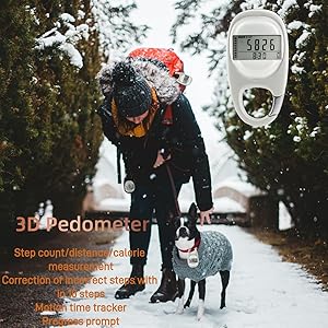 Pedometer