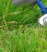 battery powered weed eater