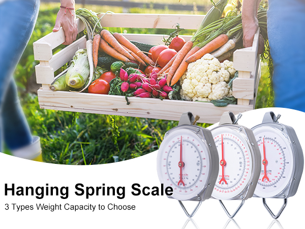 hanging scale
