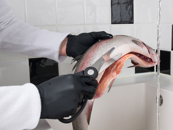 FOOD HANDLING
