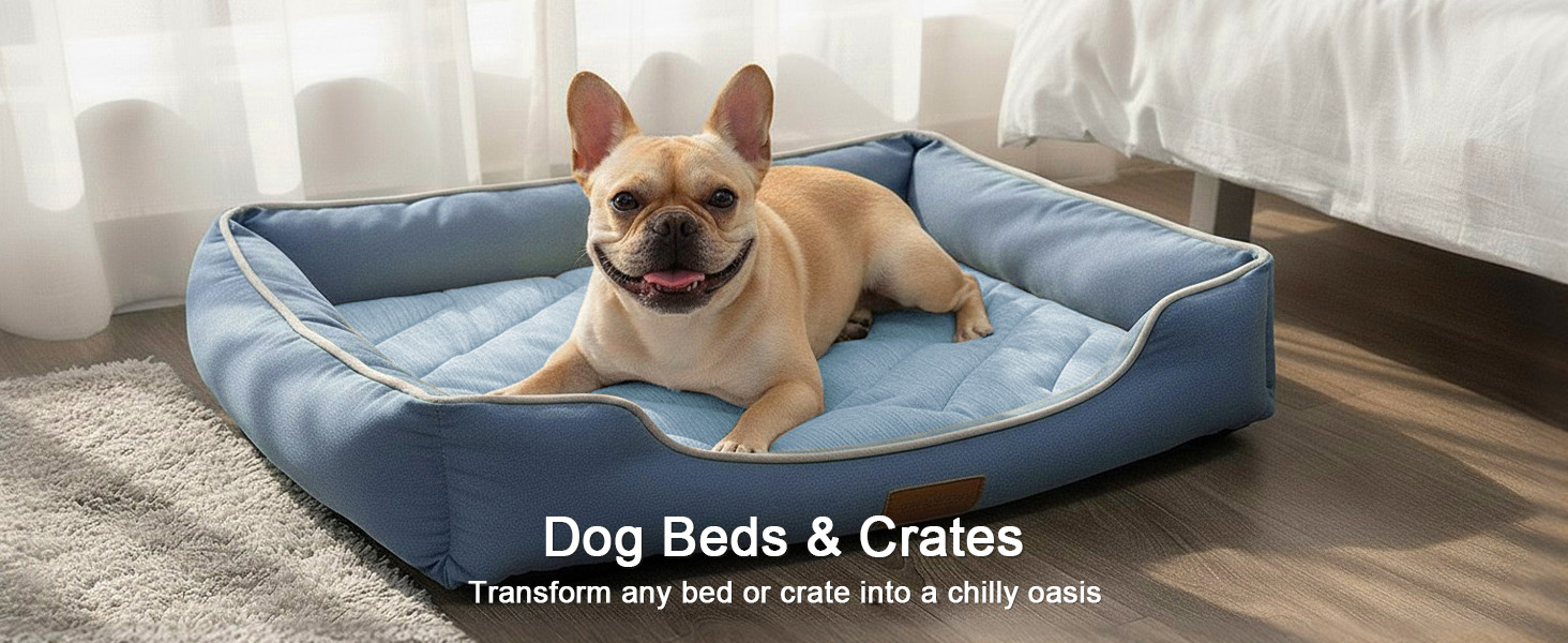 Dog Beds & Crates