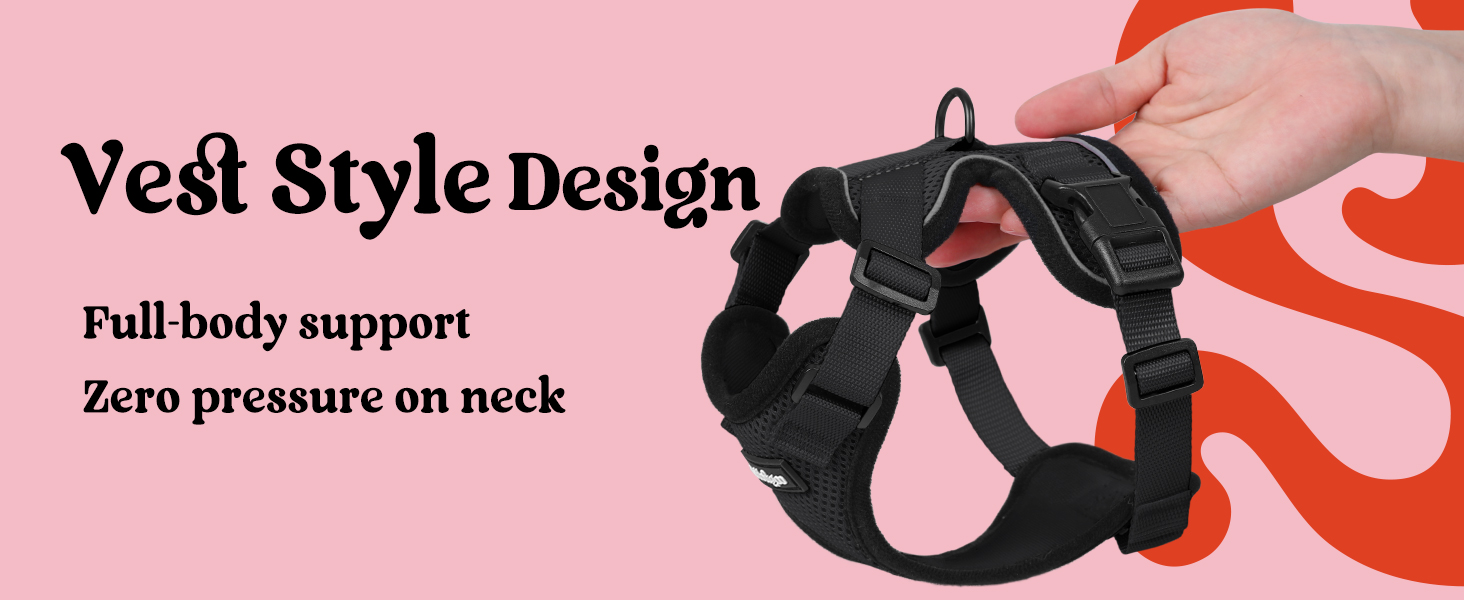 rabbitgoo Cat Harness and Leash for Walking