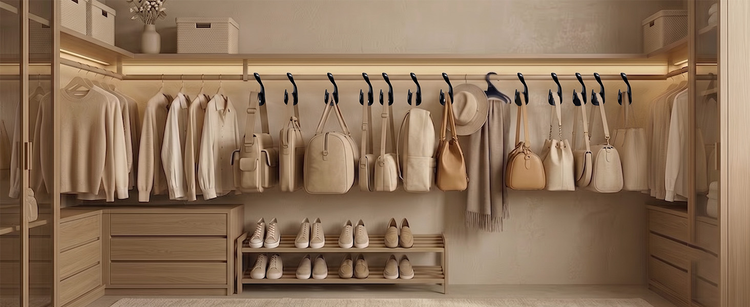 Purse Hanger Closet