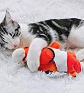 Fish Toy