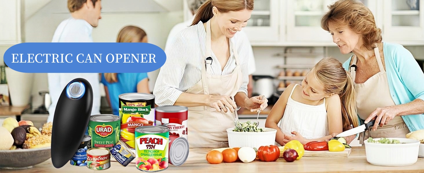 Electric can opener