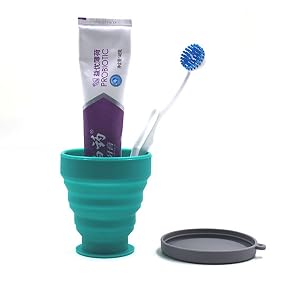 Collapsible Cup