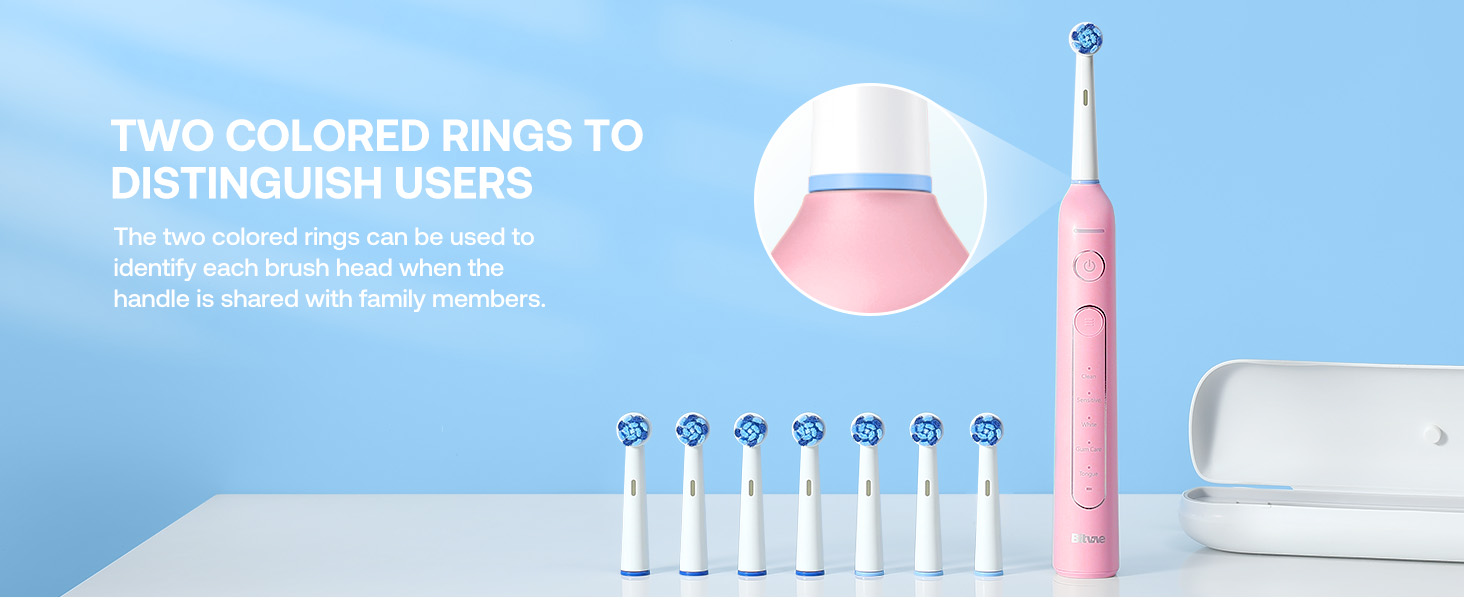 Electric Toothbrush