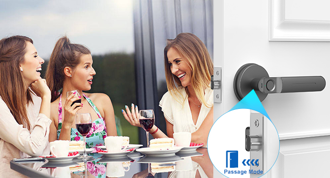 FD01 Black Passage Mode