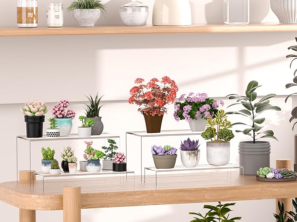 Acrylic Risers for Plants