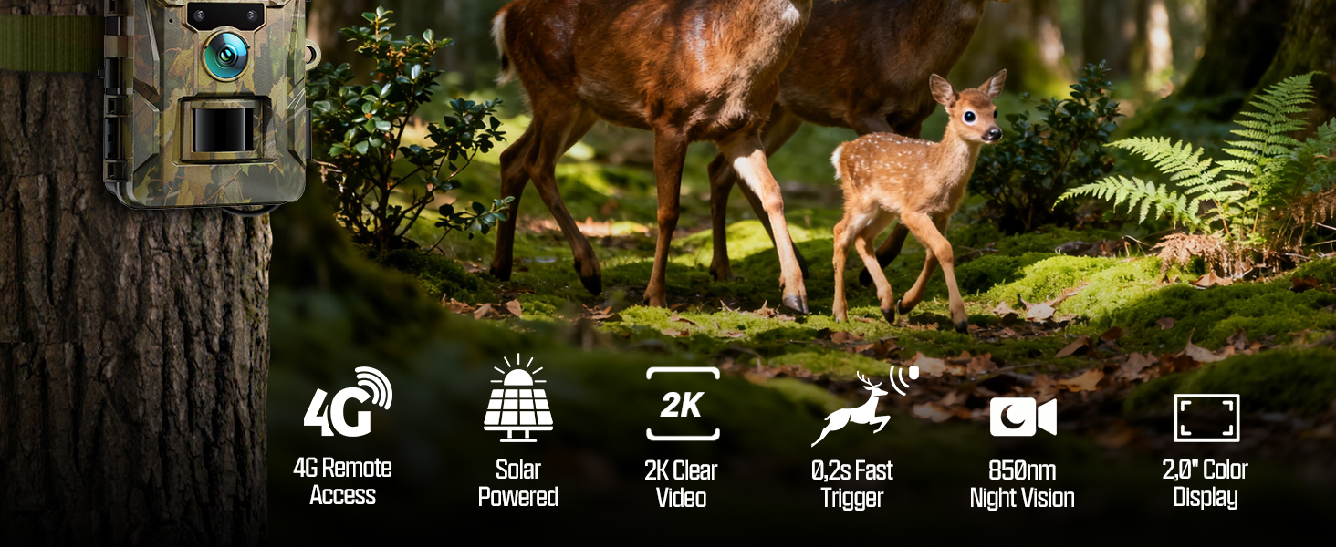 solar trail camera