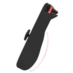switch case