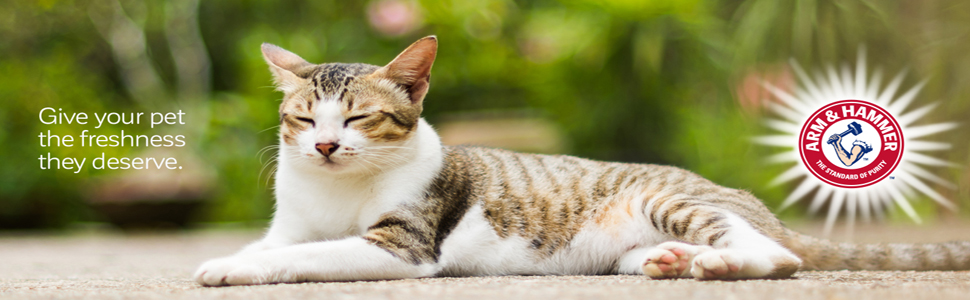 Petmate Header