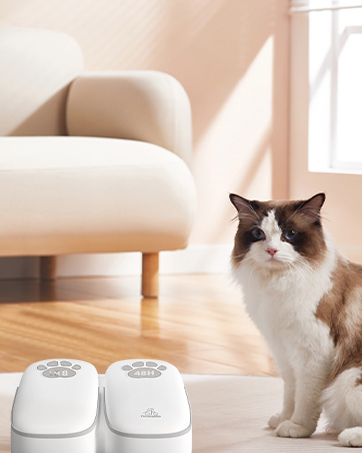 Automatic Cat Feeder
