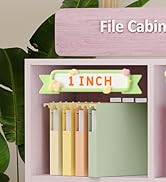 hanging file folders bulk