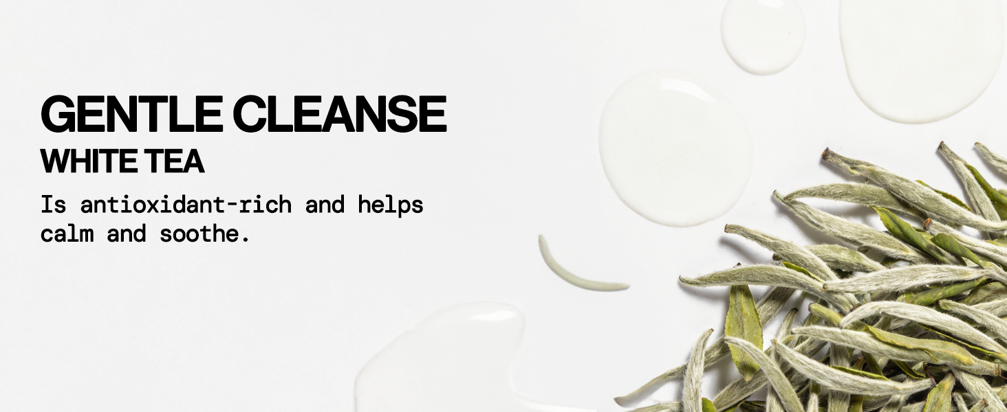 phthalates sls mineral white tea morning night rinse beauty gentle combination oily fave skincare