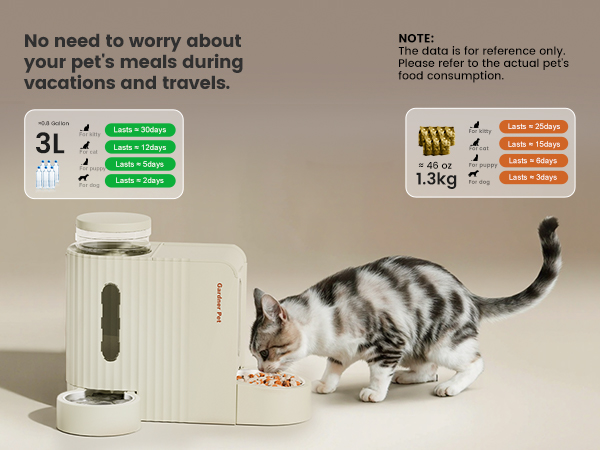 water and food dispenser for cats
