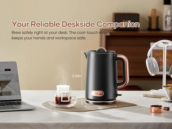 OLEGA Electric Kettle