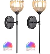 Shenmoyl Battery Operated Wall Sconce Set of 2, Amber Tulip Vintage Wall Light Fixture Rechargeab...