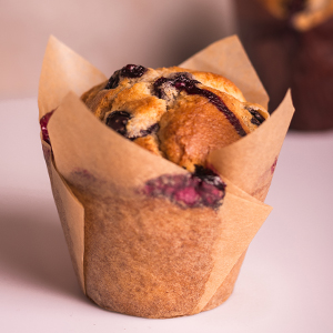 Tulip Cupcake Wrappers