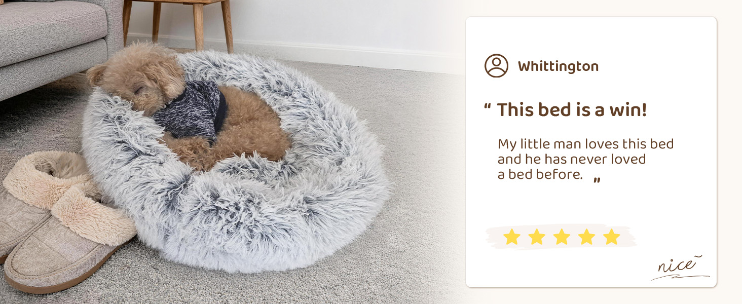 dog beds