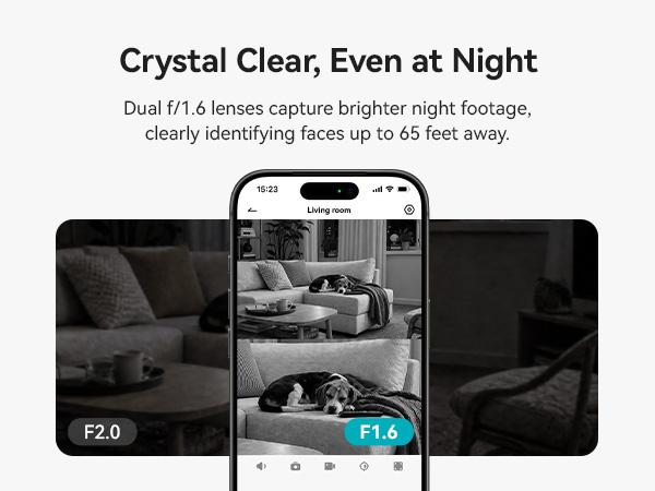 Crystal Clear Even at Night