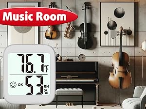 temperature and humidity monitors for guitar case