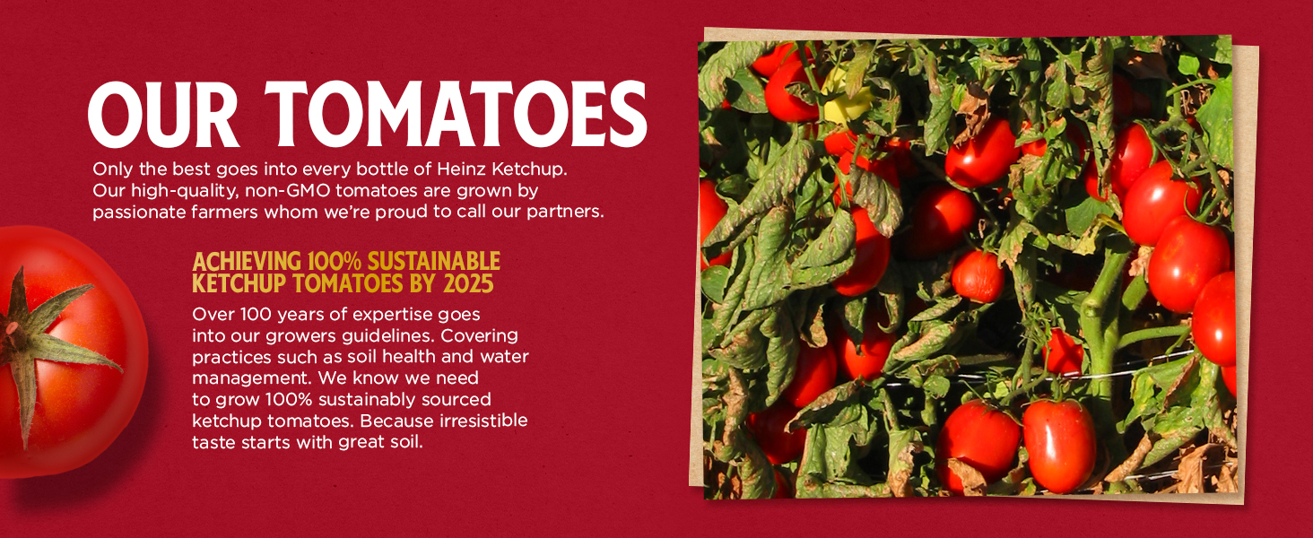 Our tomatoes