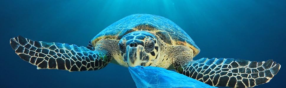 No More Plastic Bags