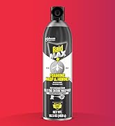 Raid Max Foaming Wasp & Hornet Killer Pack Shot