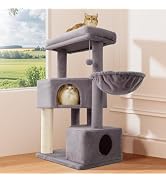 Gardner Pet 41