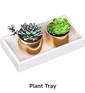 Plant Tray