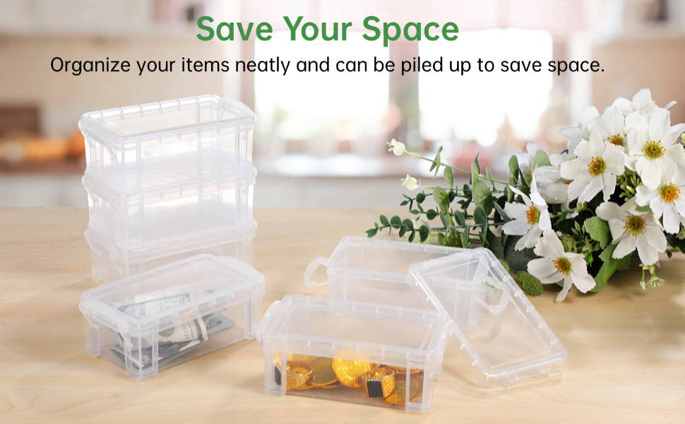 Mini Plastic Boxes Small Clear Storage Containers with Locking Lids Clear Plastic Organizers Crafts