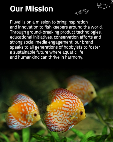 Fluval_Module_2