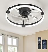 Ensenior 20'' Low Profile Ceiling Fans with Lights and Remote, Fandelier Ceiling Fan Flush Mount,...