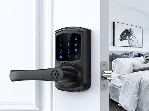 Touchscreen Keypad Door Lock with Handle