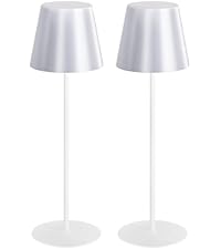 https://m.media-amazon.com/images/I/2190azLaUSL.__AC_SR200,225___.jpg