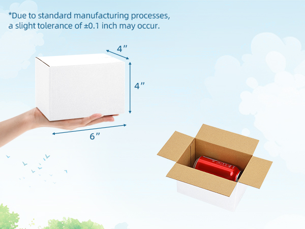 shipping boxes 6x4x4