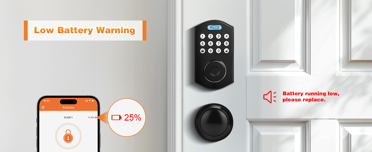 black smart door lock