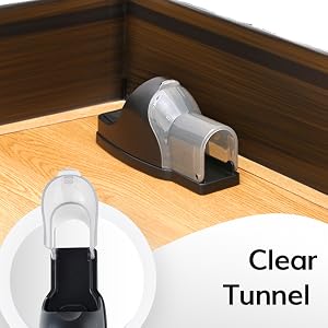 Clear Tunnel and Sturdy Construction