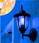 Bitrue LED Flame Light Bulbs, 4 Modes Green Flame Effect Light Bulbs, E26 Base Fire Light Bulb wi...